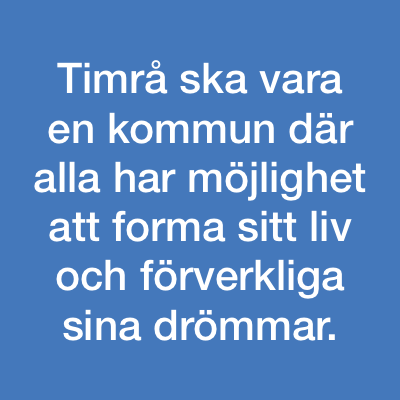 Timråpartiet vision