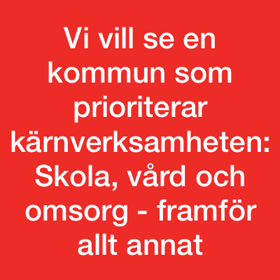 Timråpartiet vision