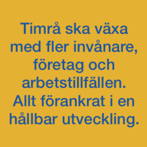 Timråpartiet vision