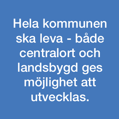 Timråpartiet vision