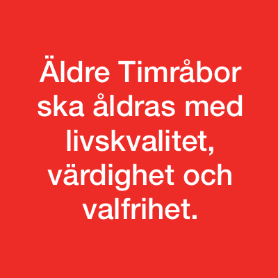 Timråpartiet vision