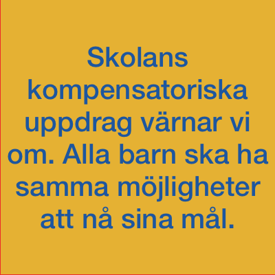 Timråpartiet vision