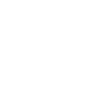 Timråpartiet - animerad logotype